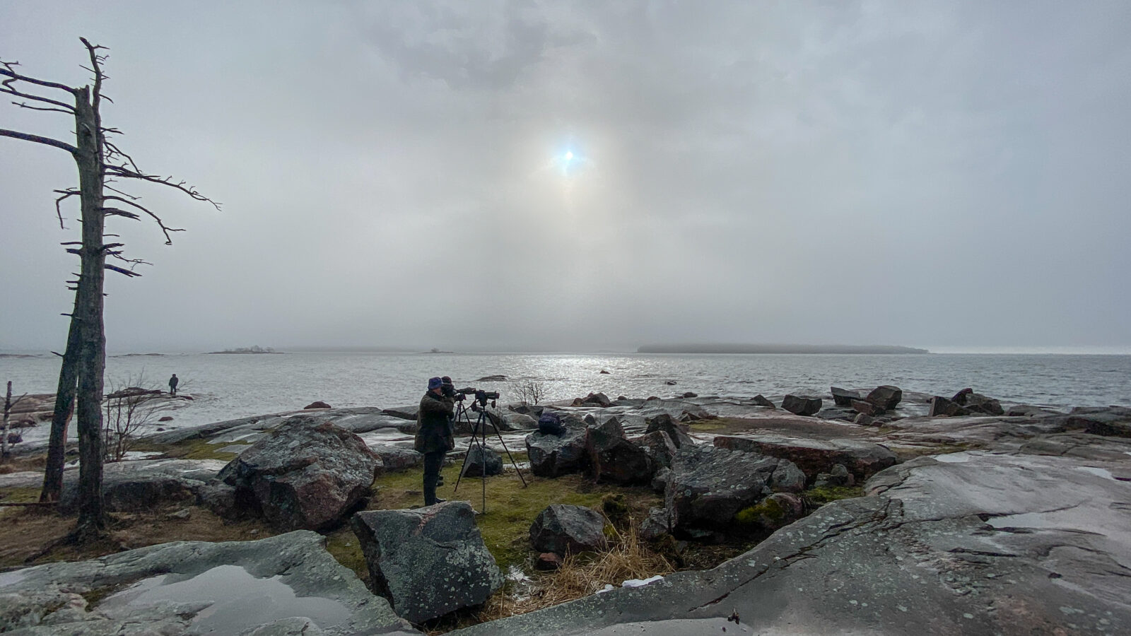 Maaliskuu