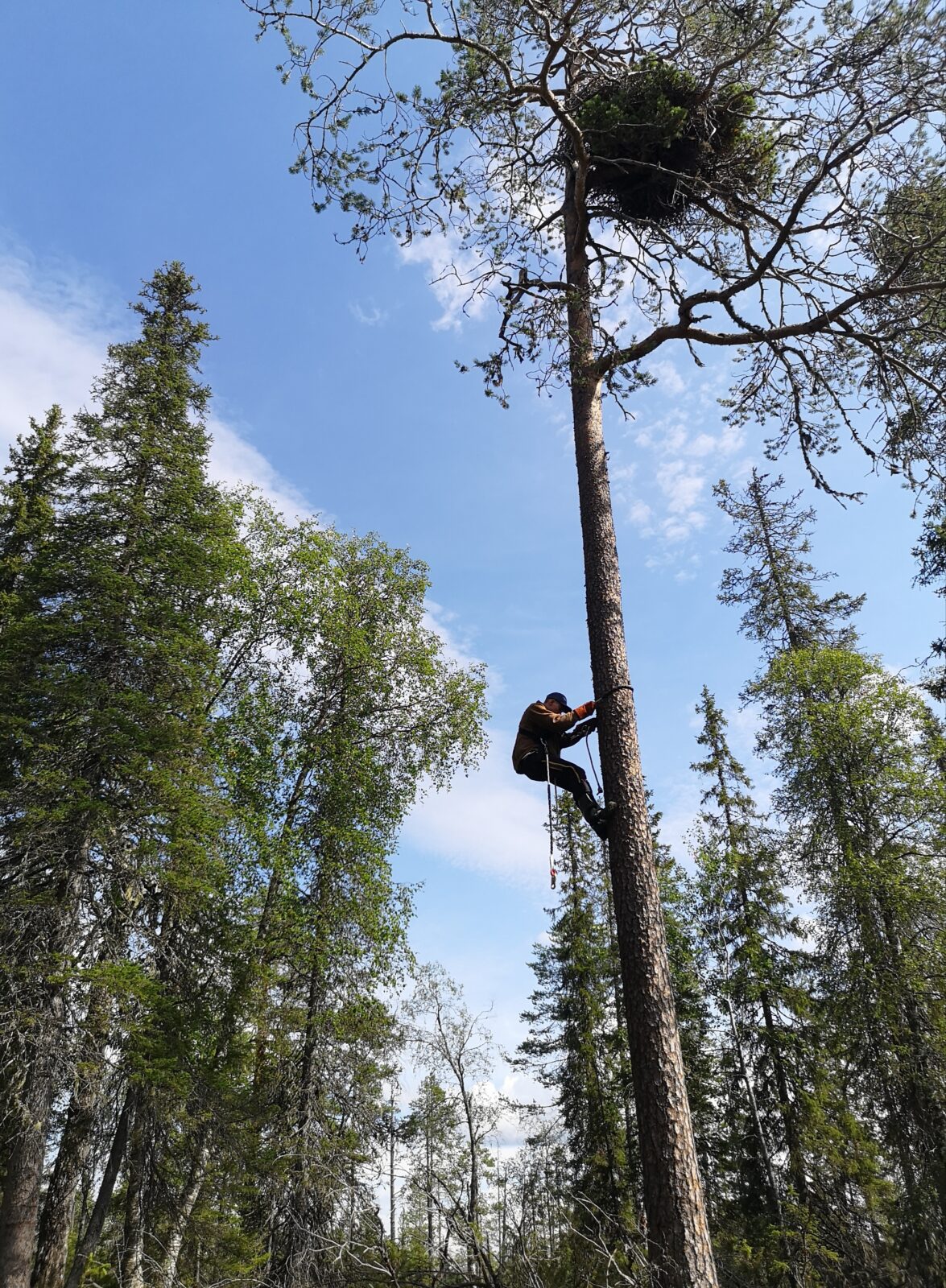 Heinäkuu