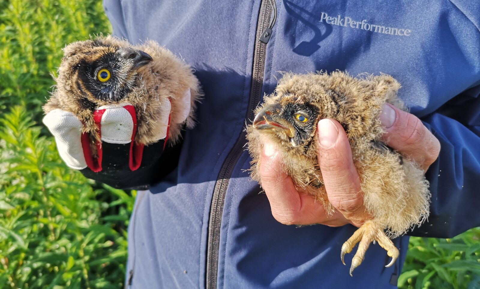 Kesäkuu
