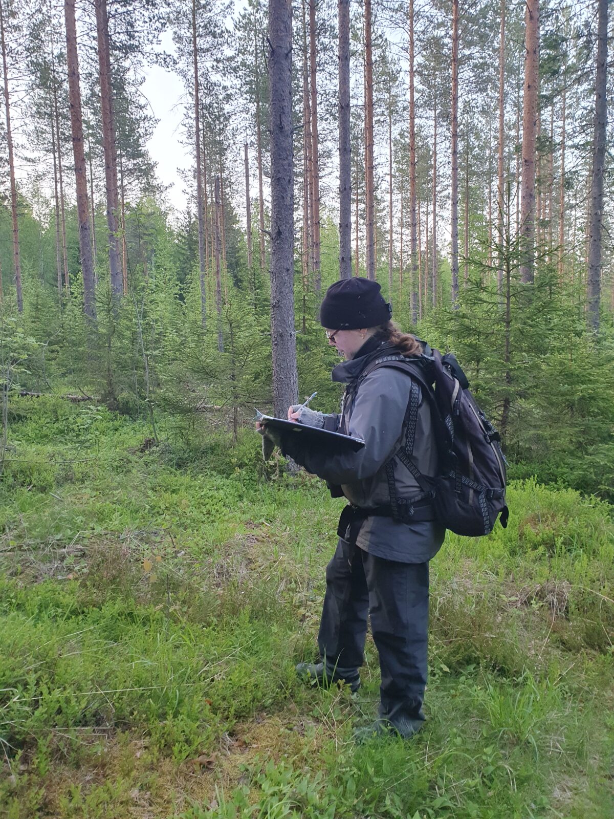Kesäkuu