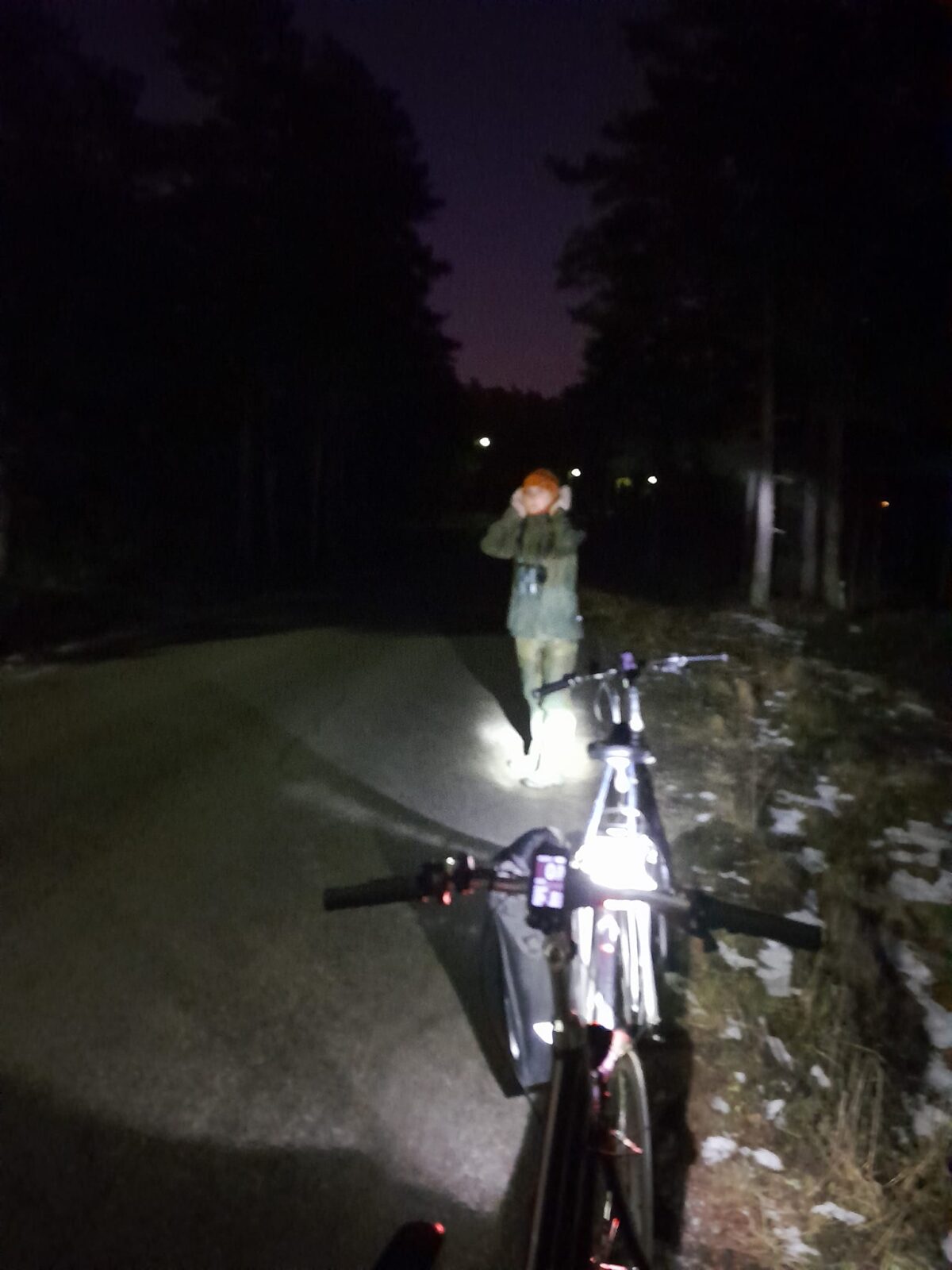 Helmikuu