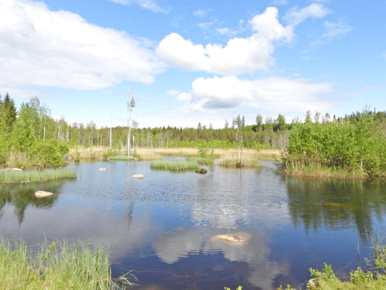 Kesäkuu