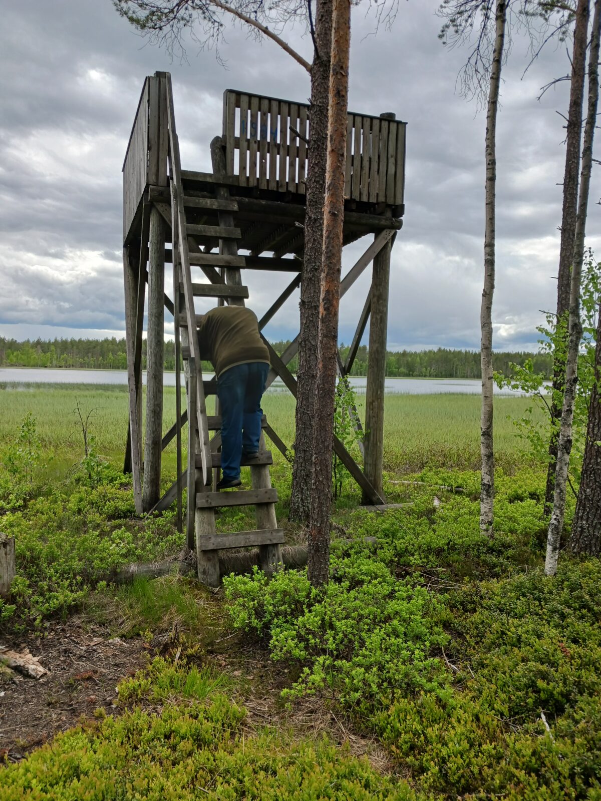 Kesäkuu