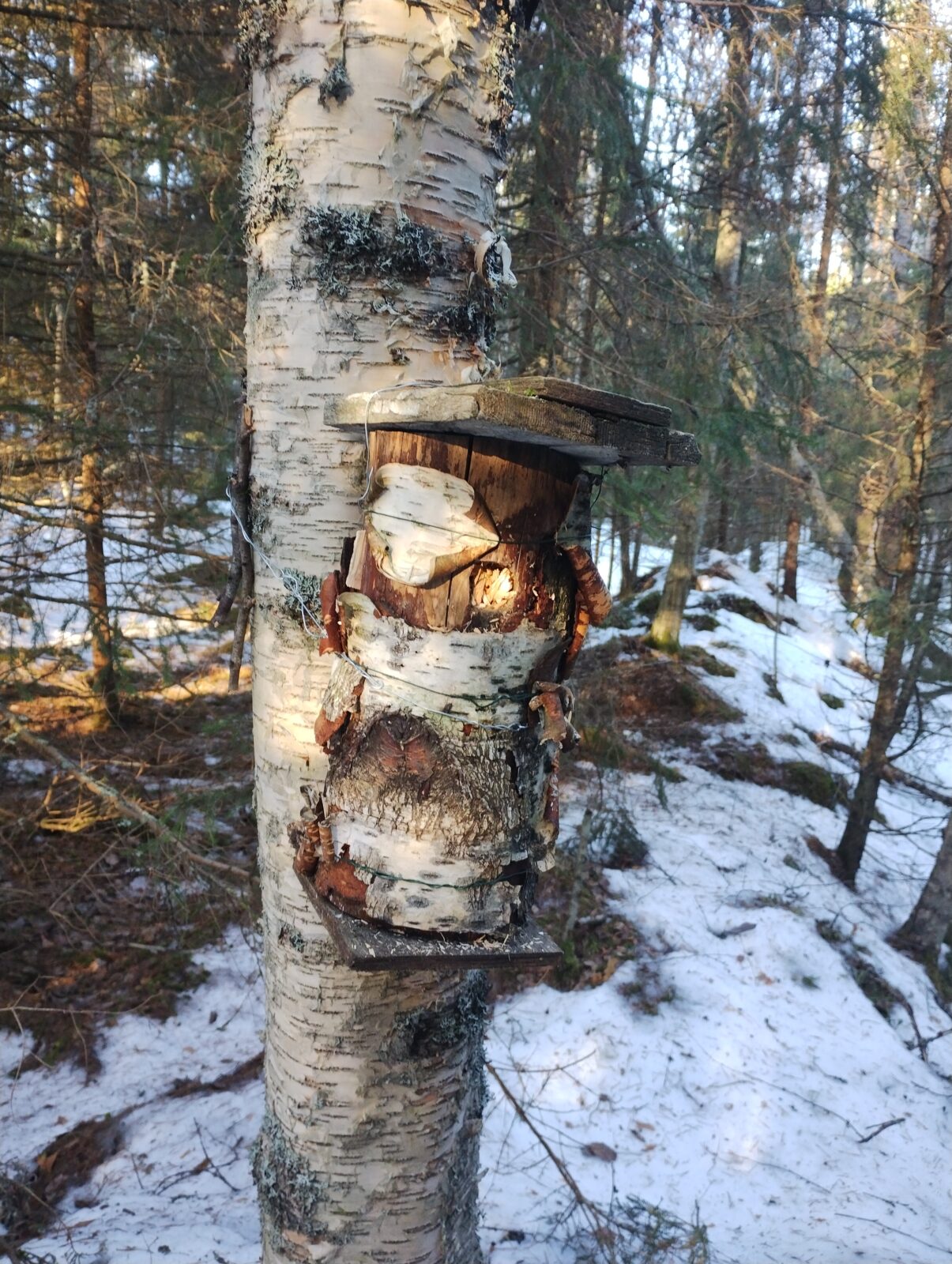 Helmikuu