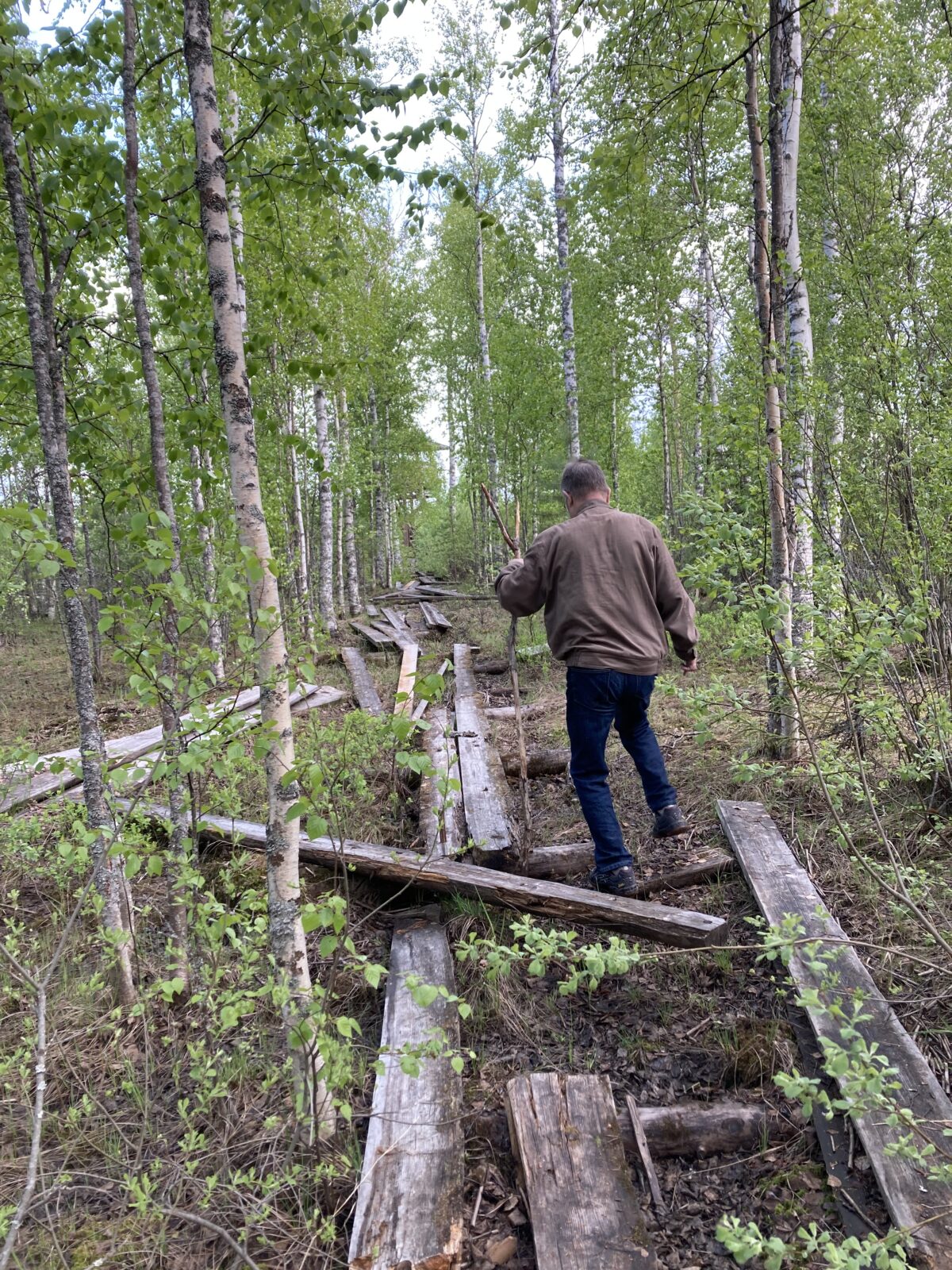 Kesäkuu
