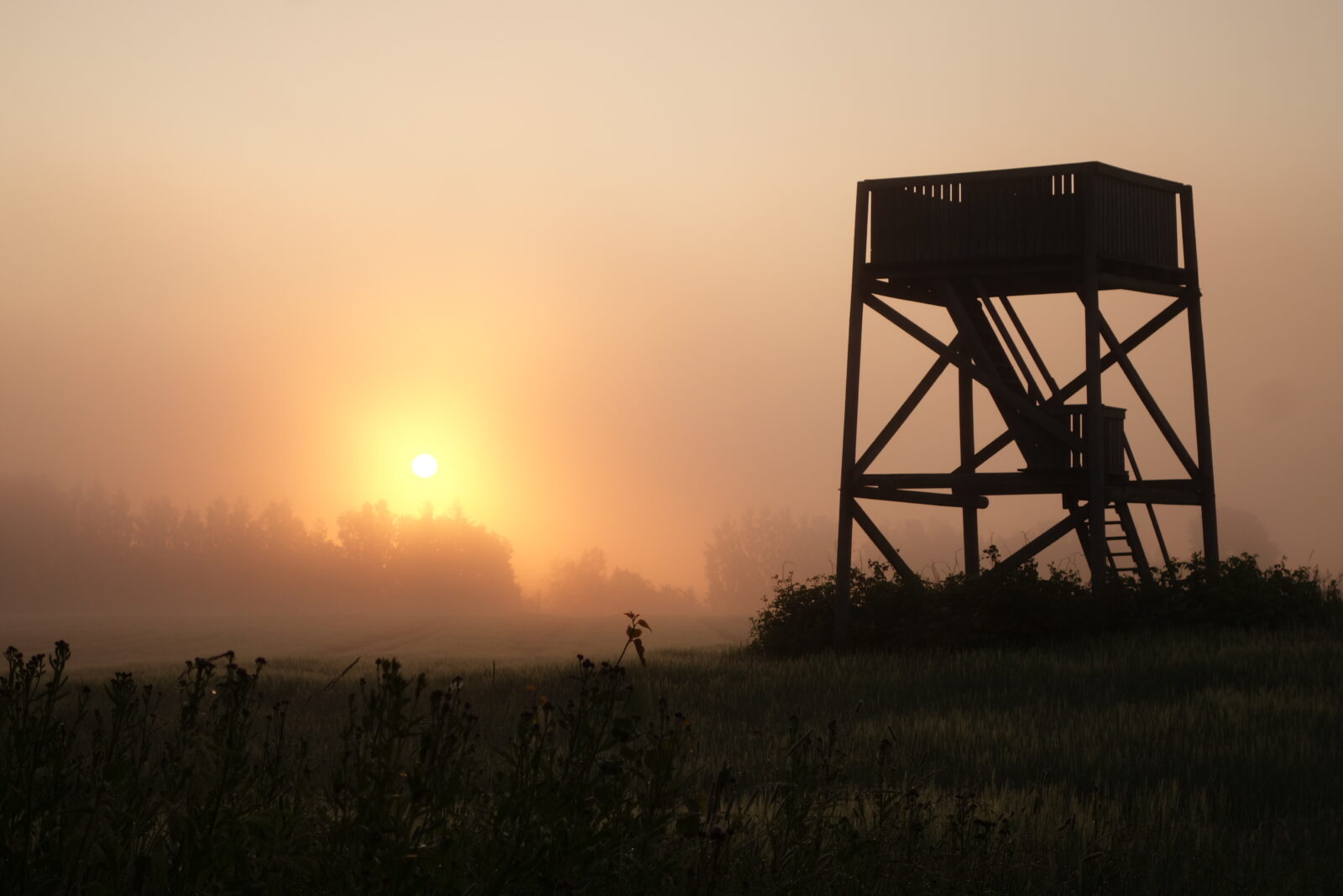 Heinäkuu
