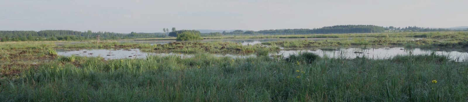 Kesäkuu