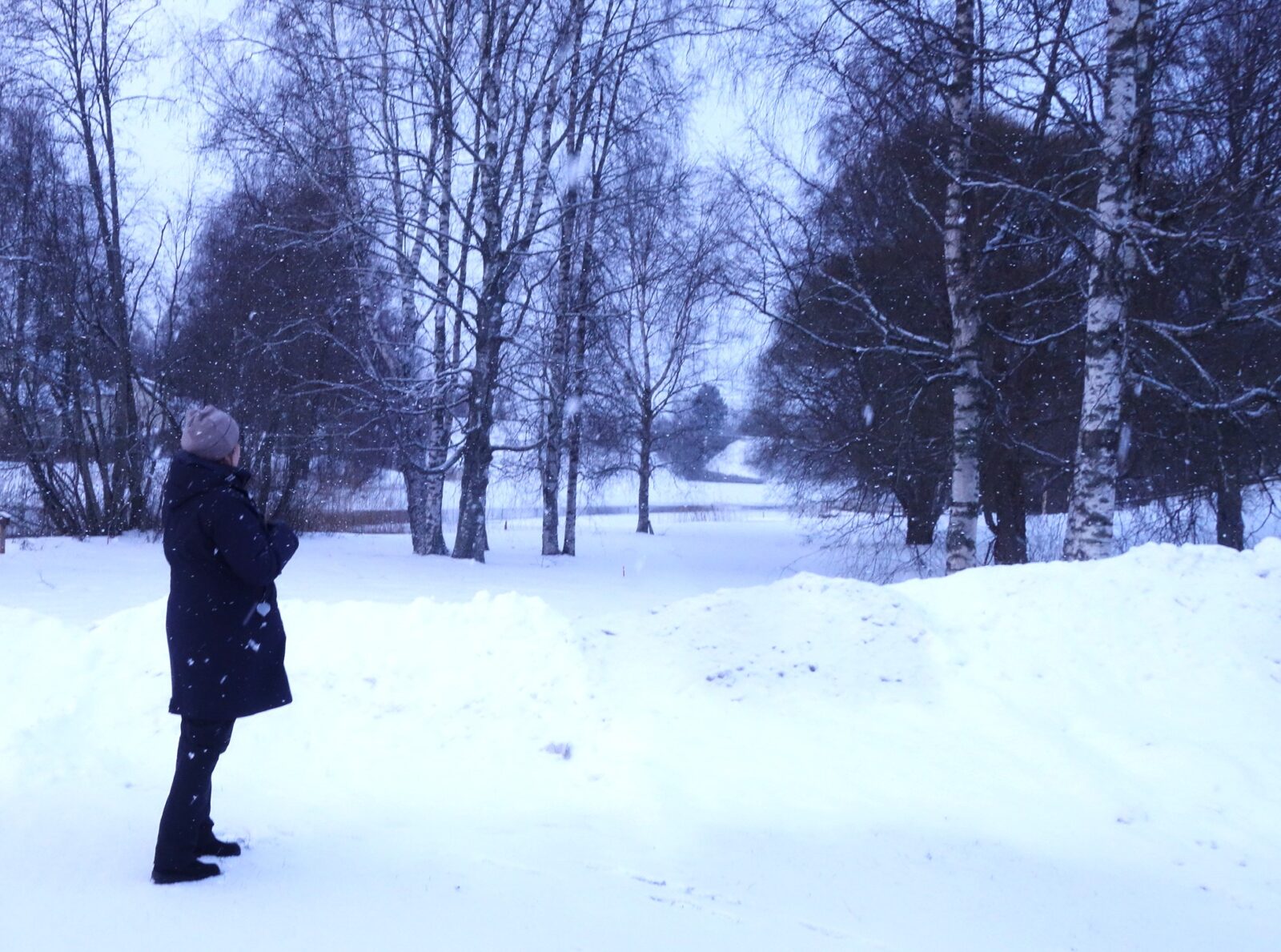 Tammikuu