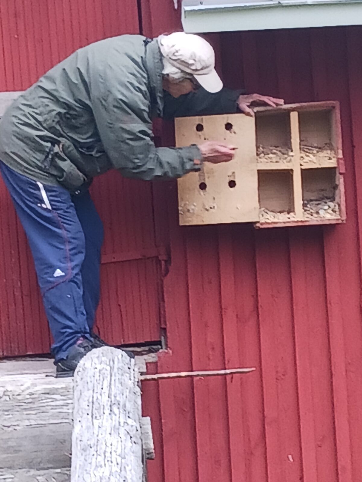 Kesäkuu