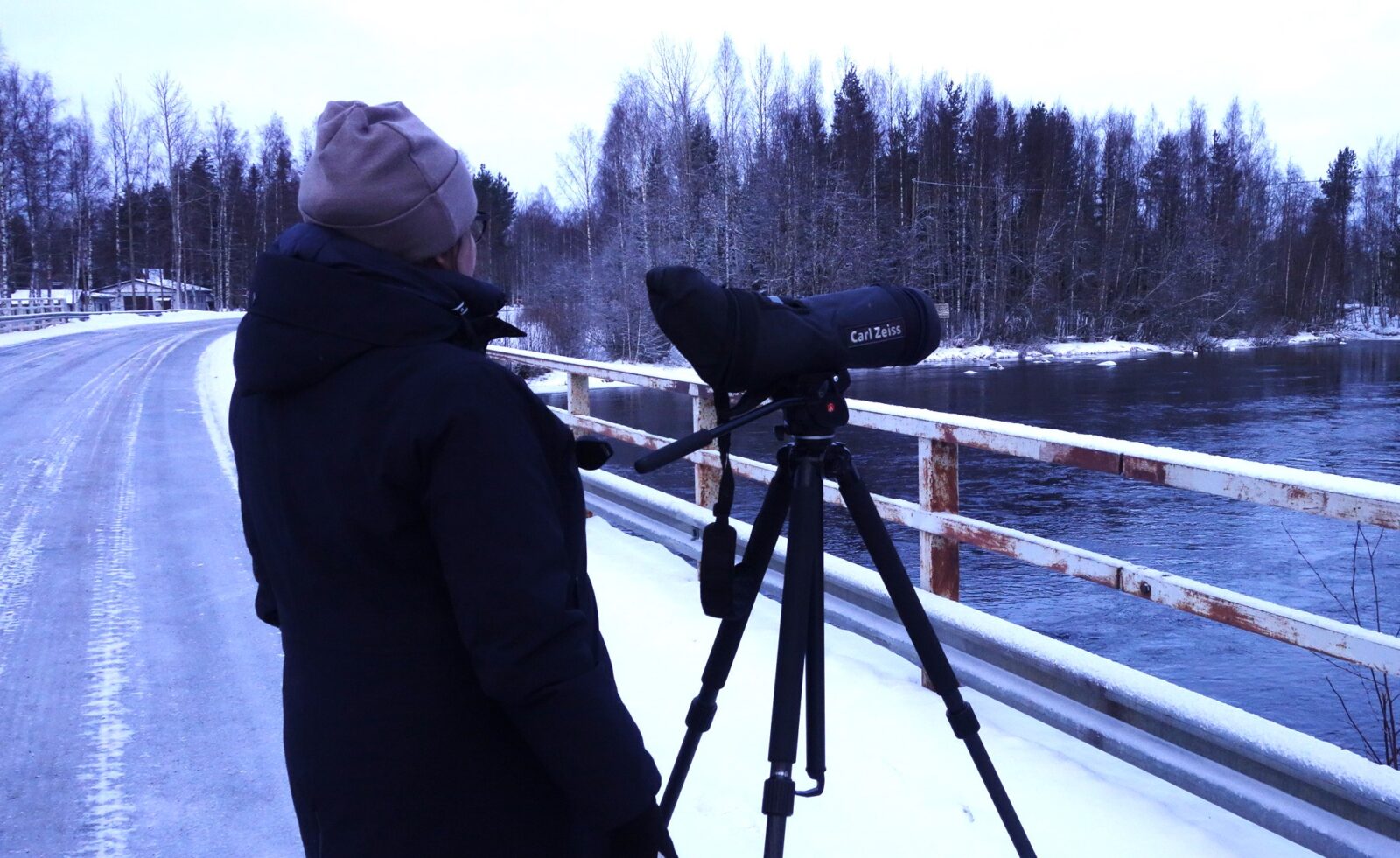 Tammikuu