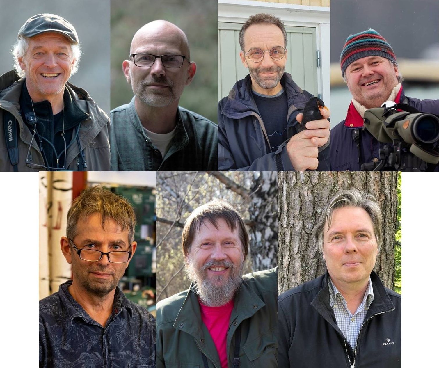 BirdLife Suomi BirdLifen kultaisin ansiomerkein palkittiin