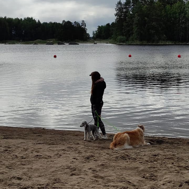 Syyskuu