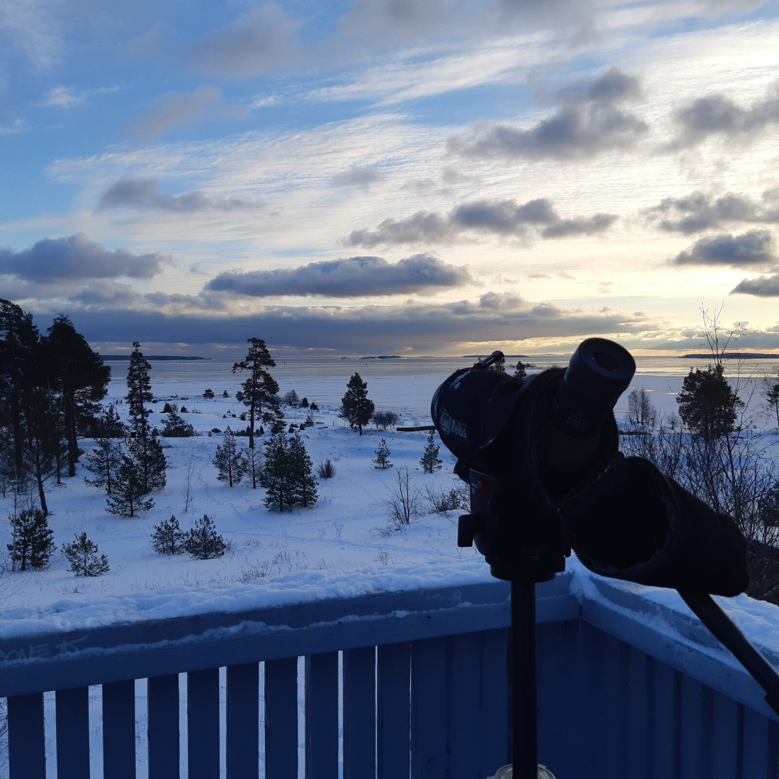 Joulukuu