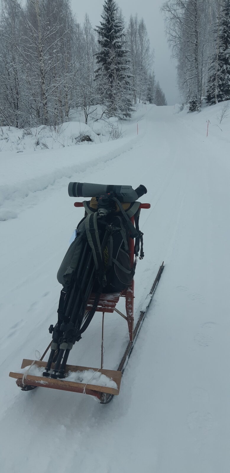 Joulukuu