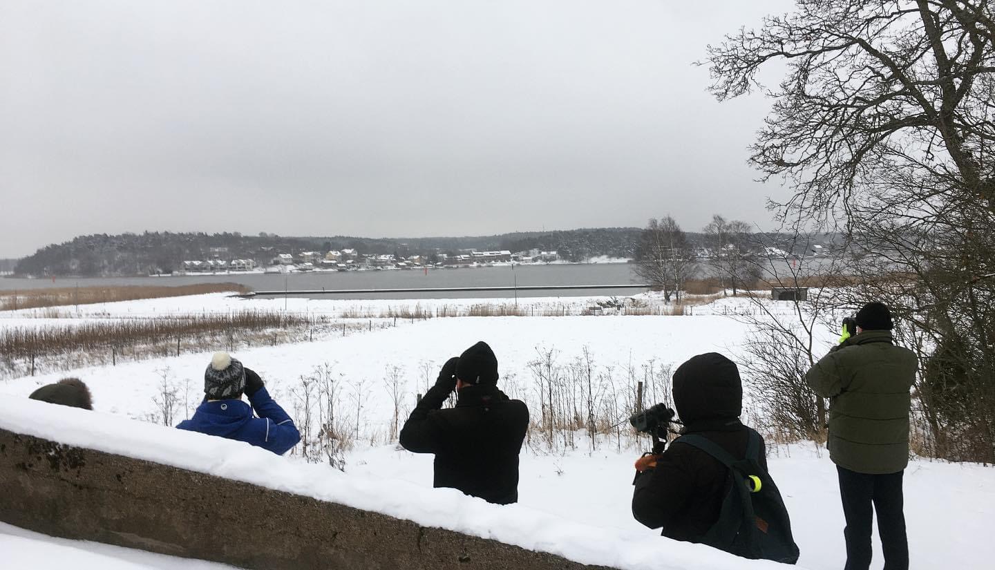 Joulukuu