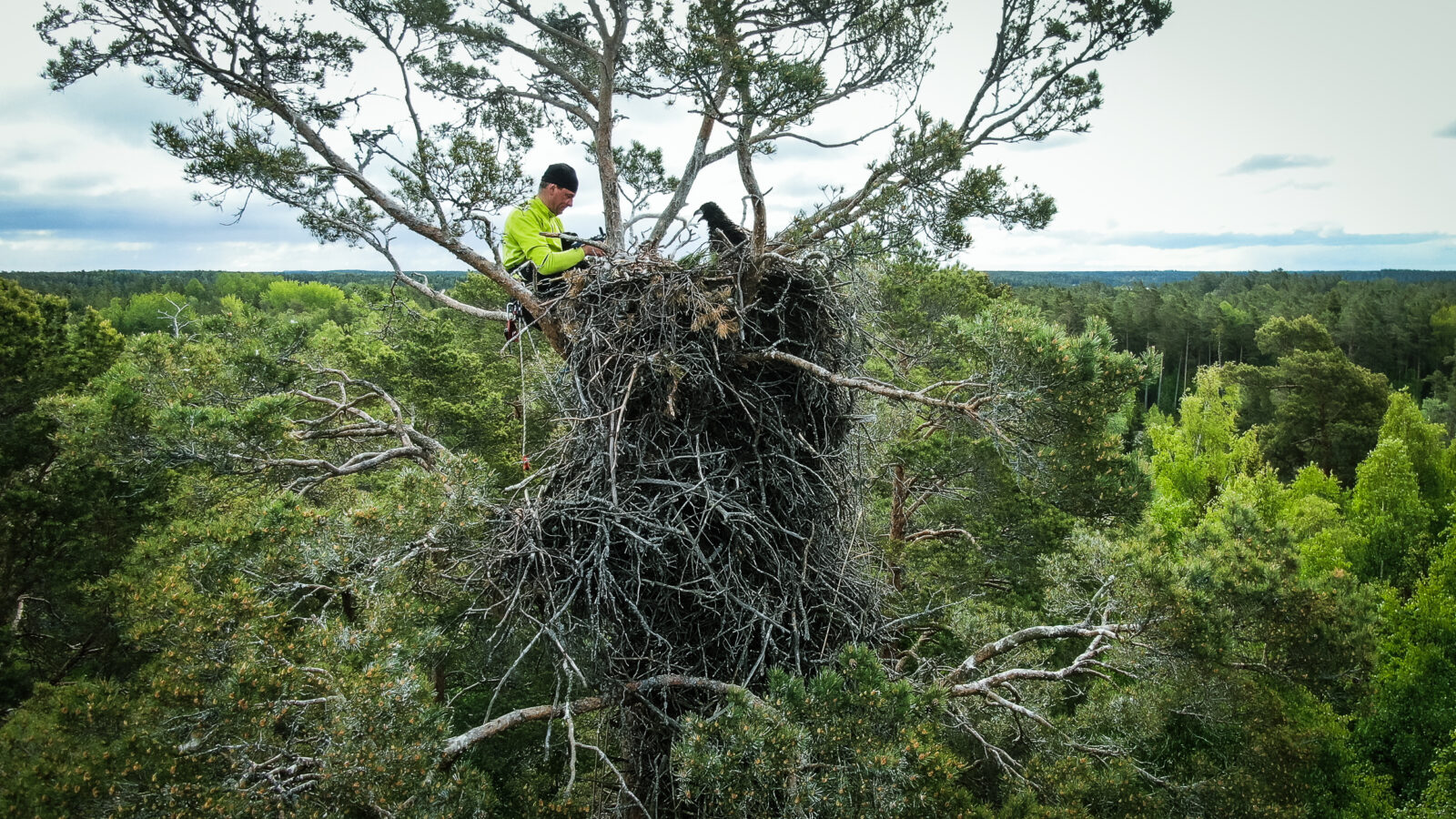 Kesäkuu