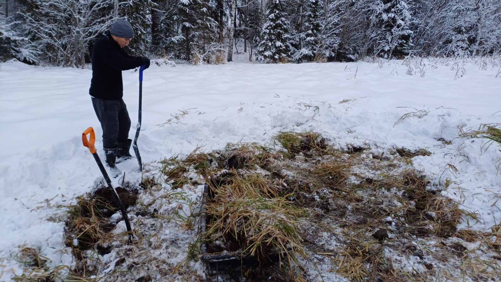 Joulukuu