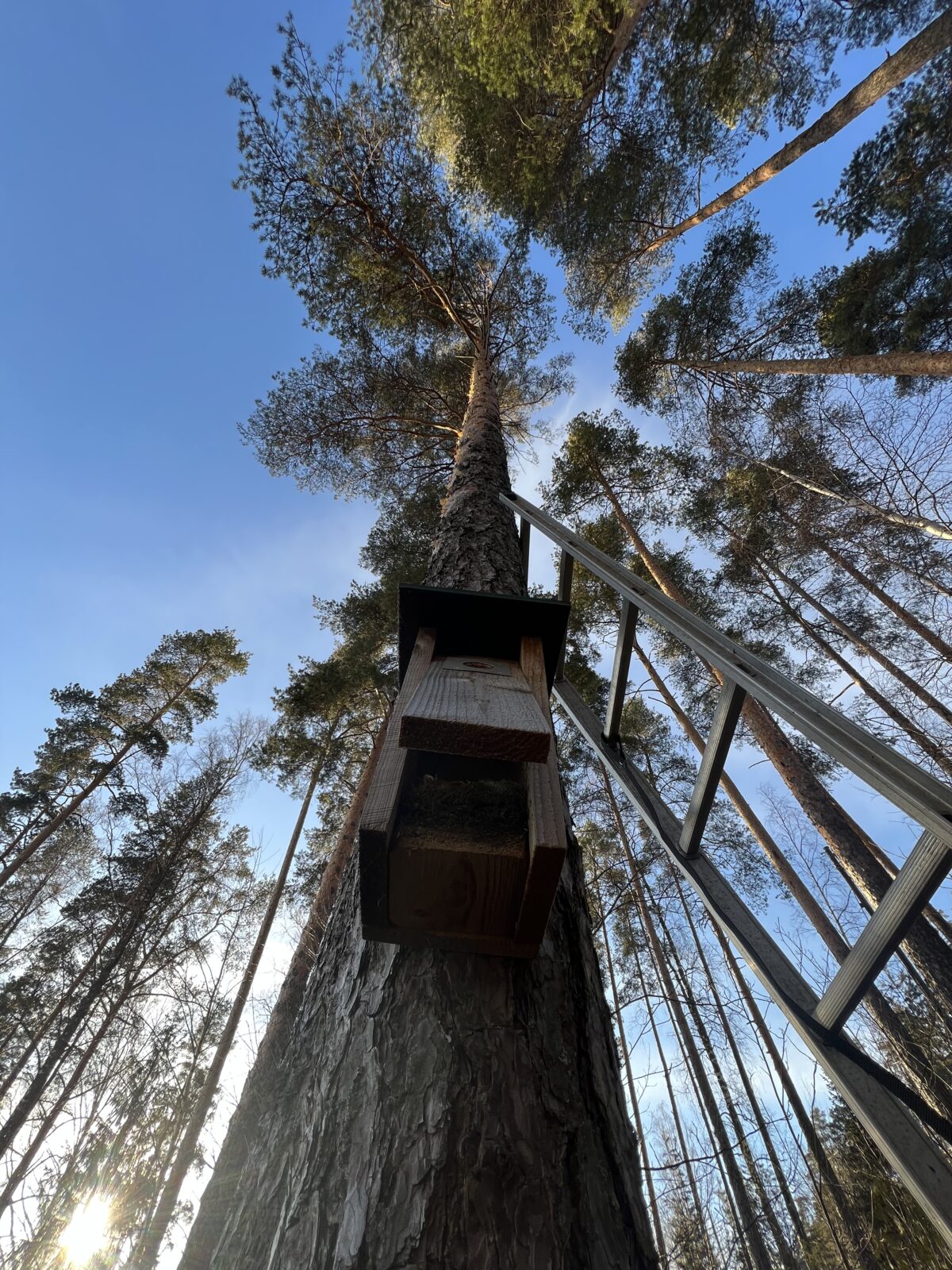 Huhtikuu