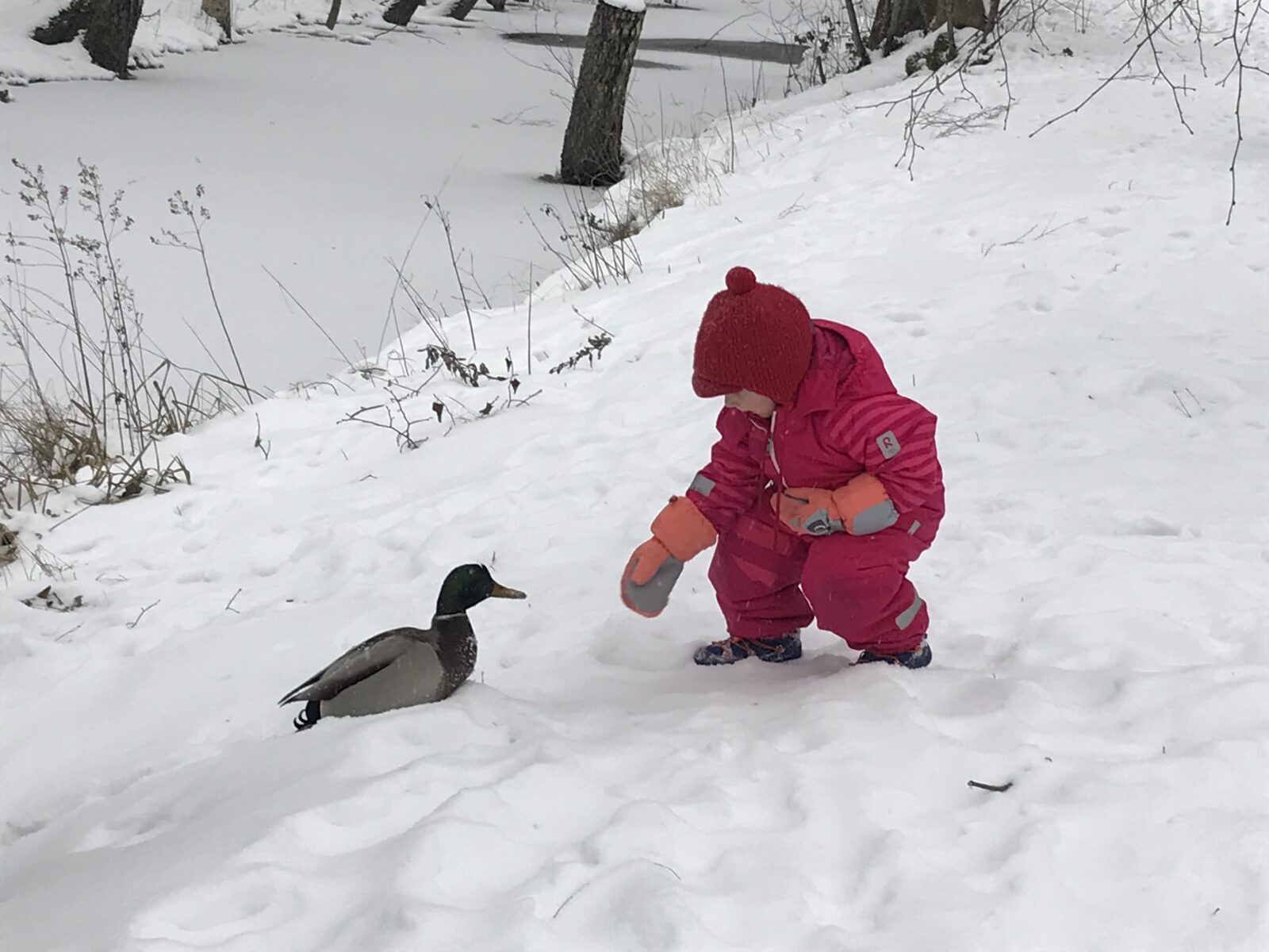 Joulukuu