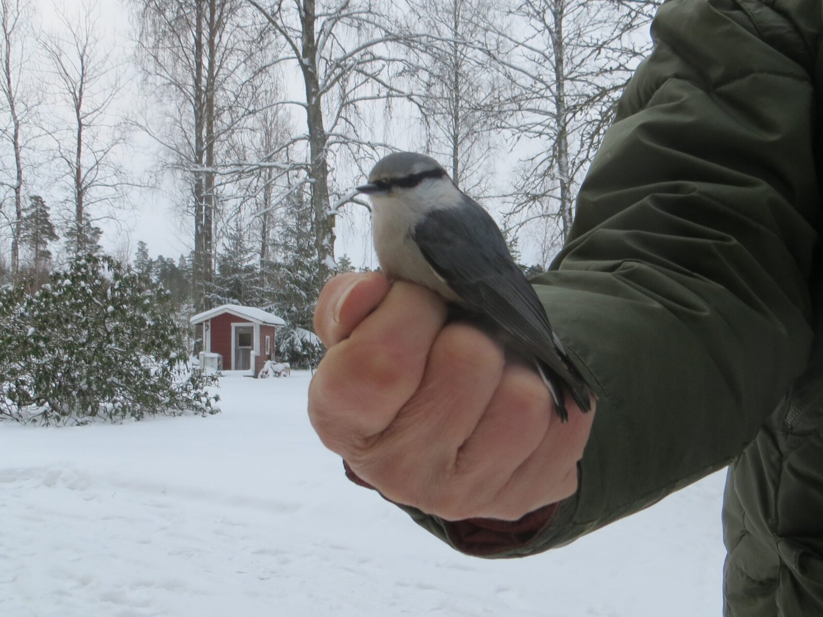 Joulukuu