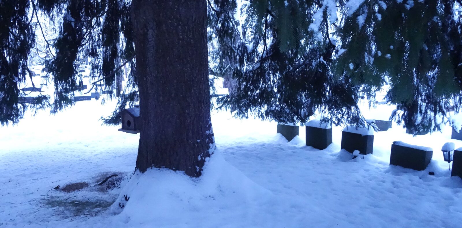 Joulukuu
