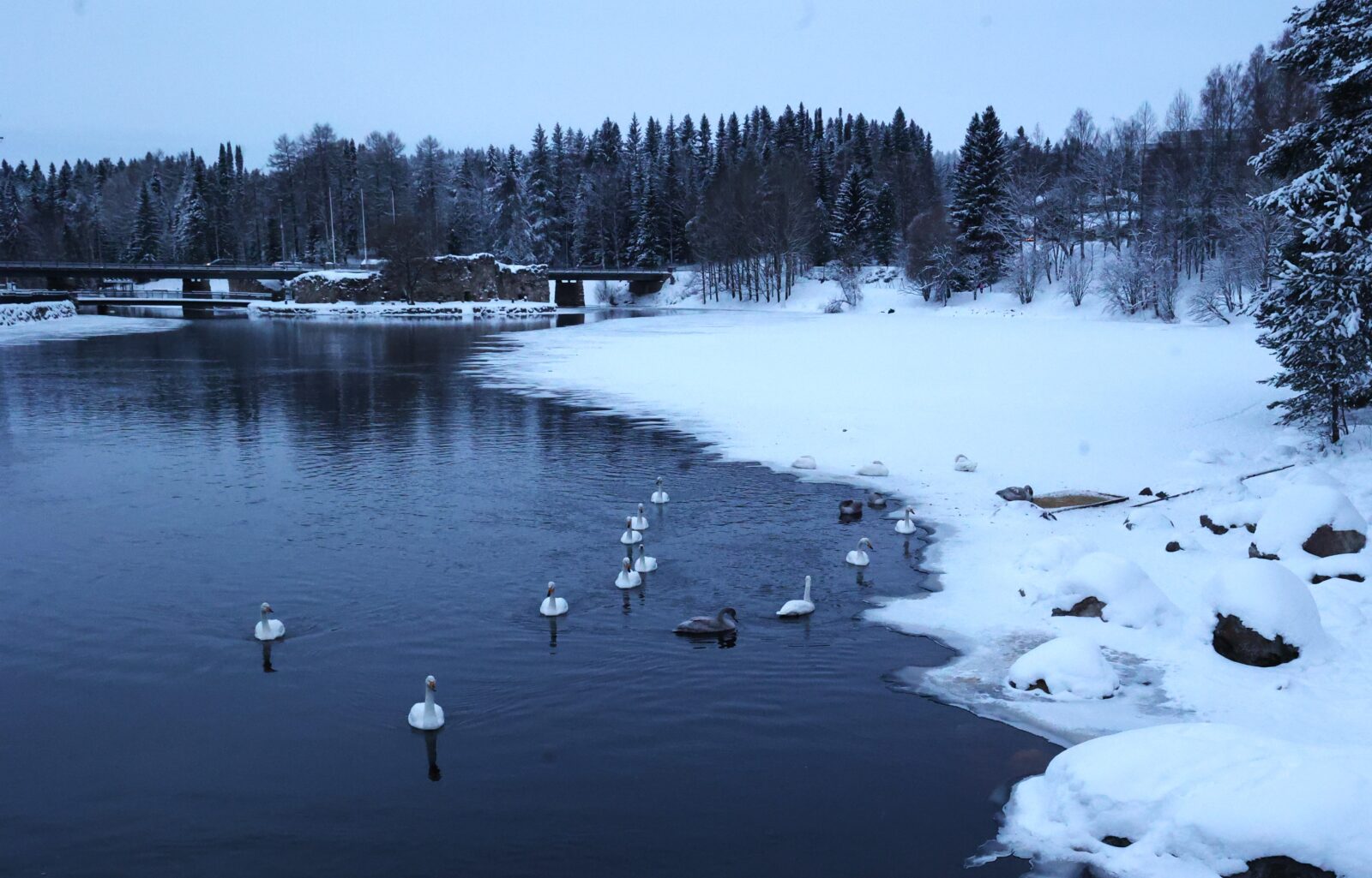 Joulukuu