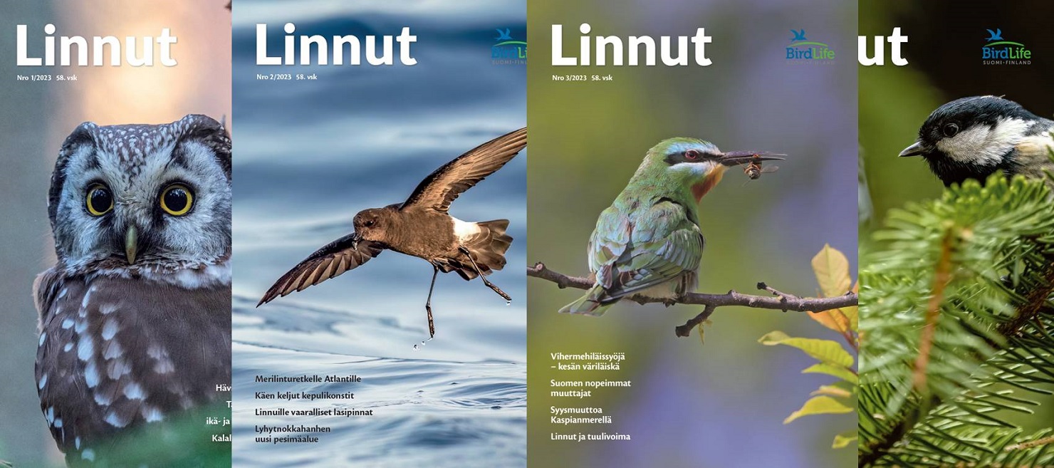 Linnut-vuosikerta 2023