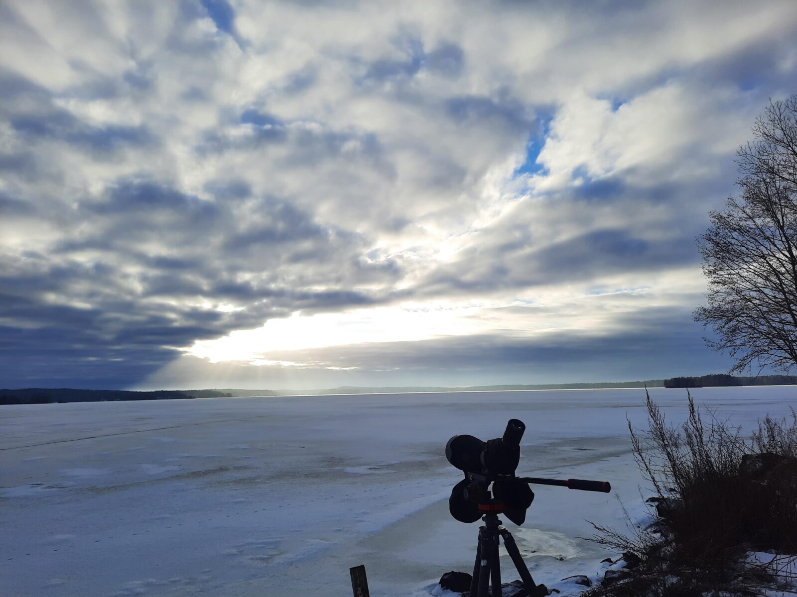 Tammikuu