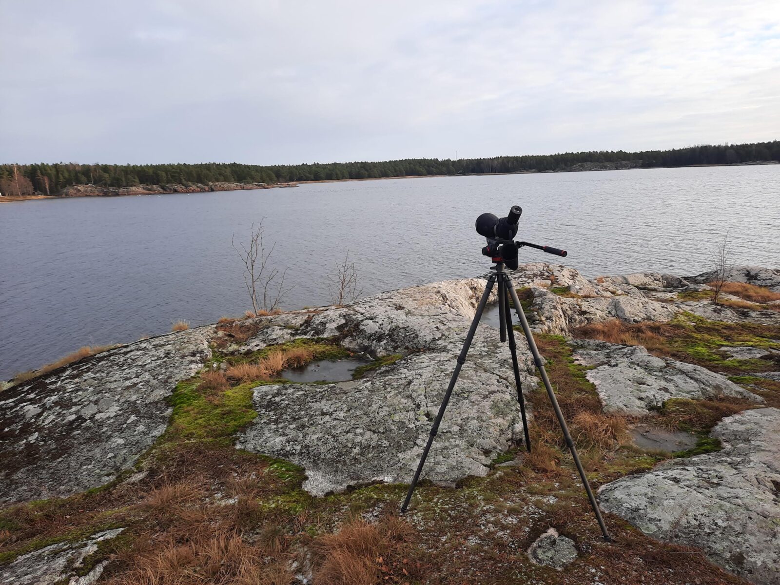 Marraskuu