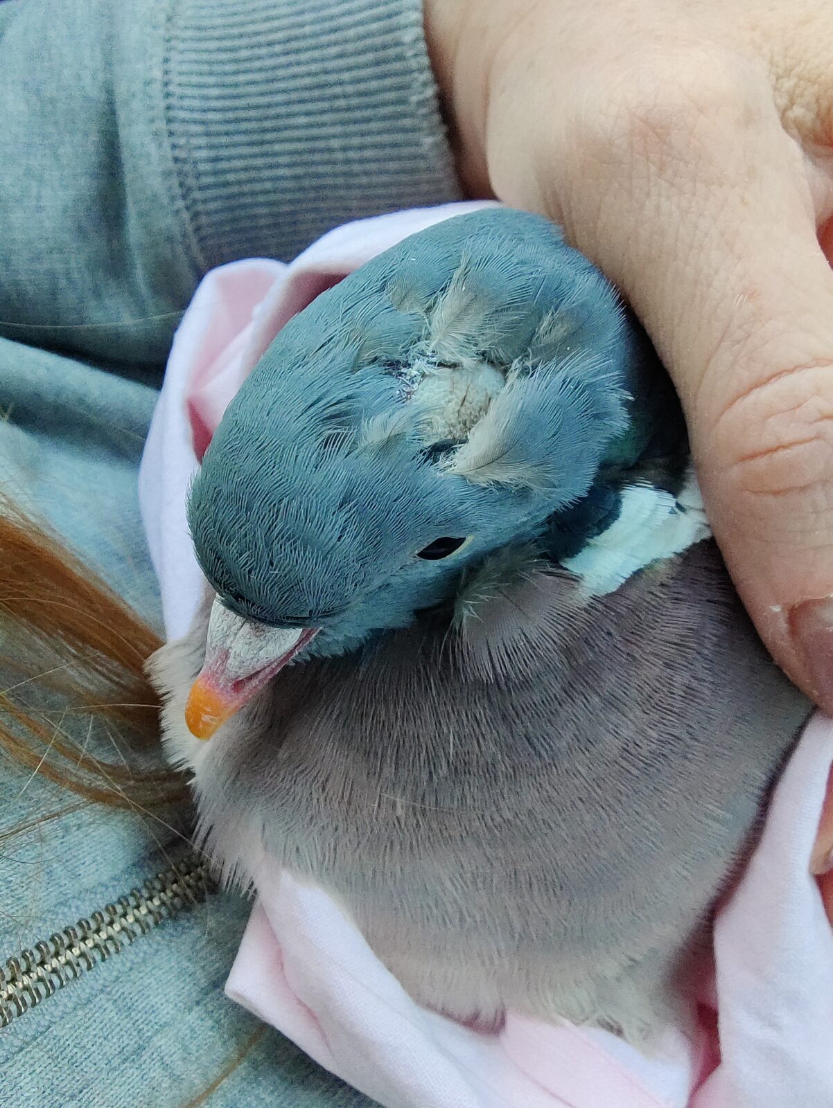 Syyskuu