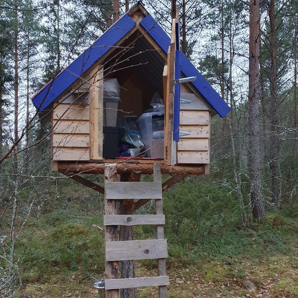 Marraskuu