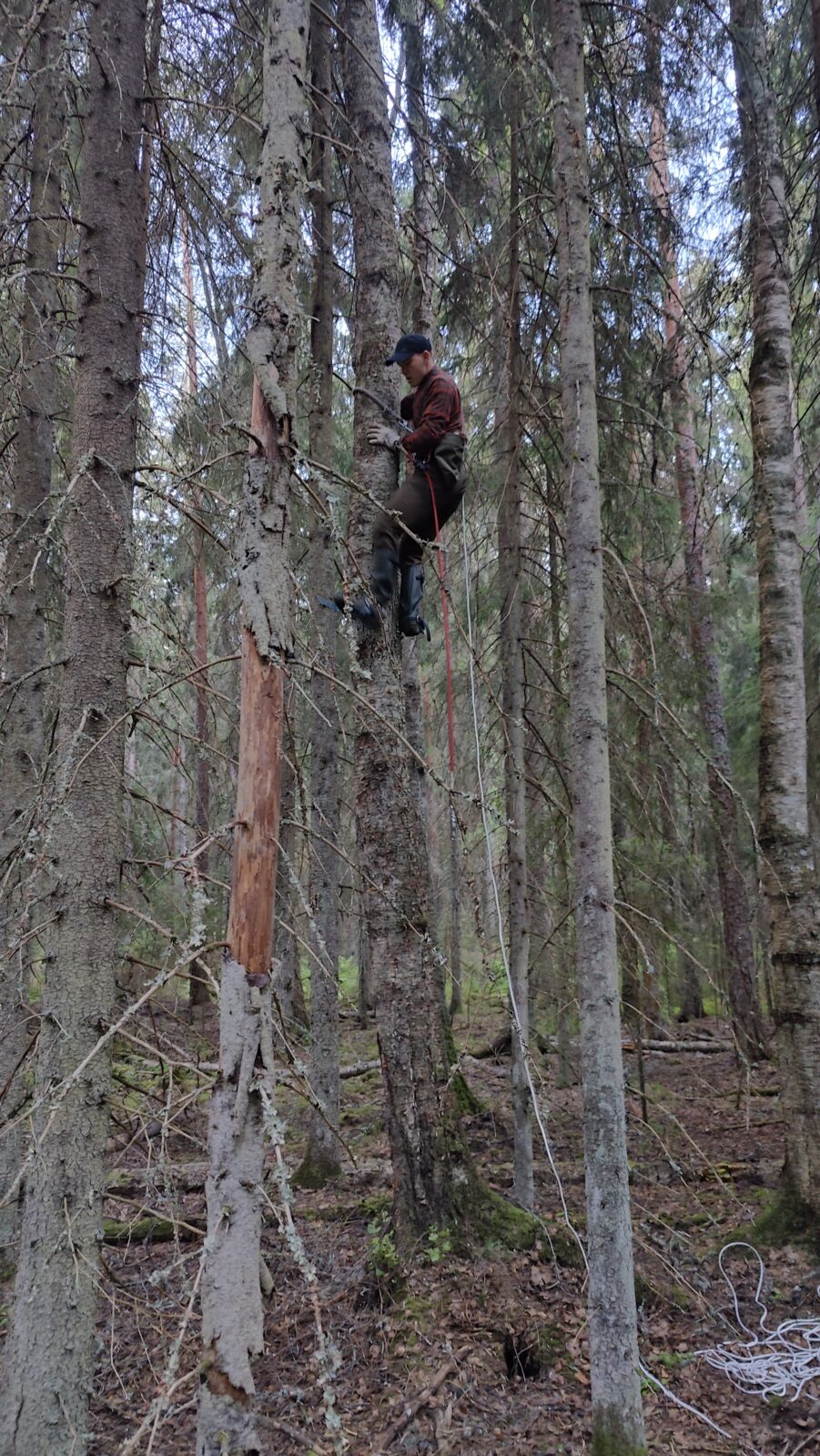 Kesäkuu