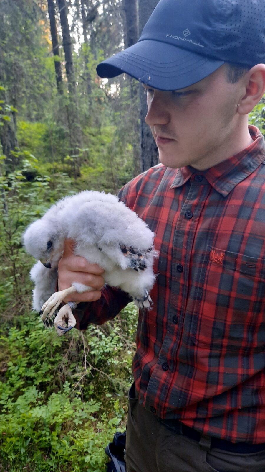 Kesäkuu