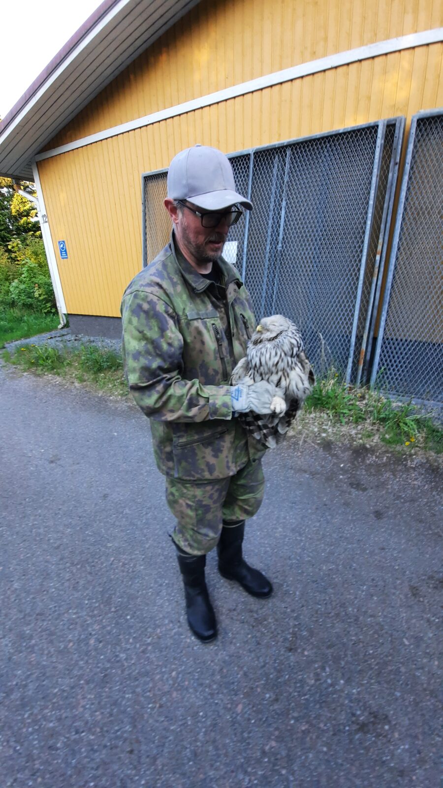 Kesäkuu