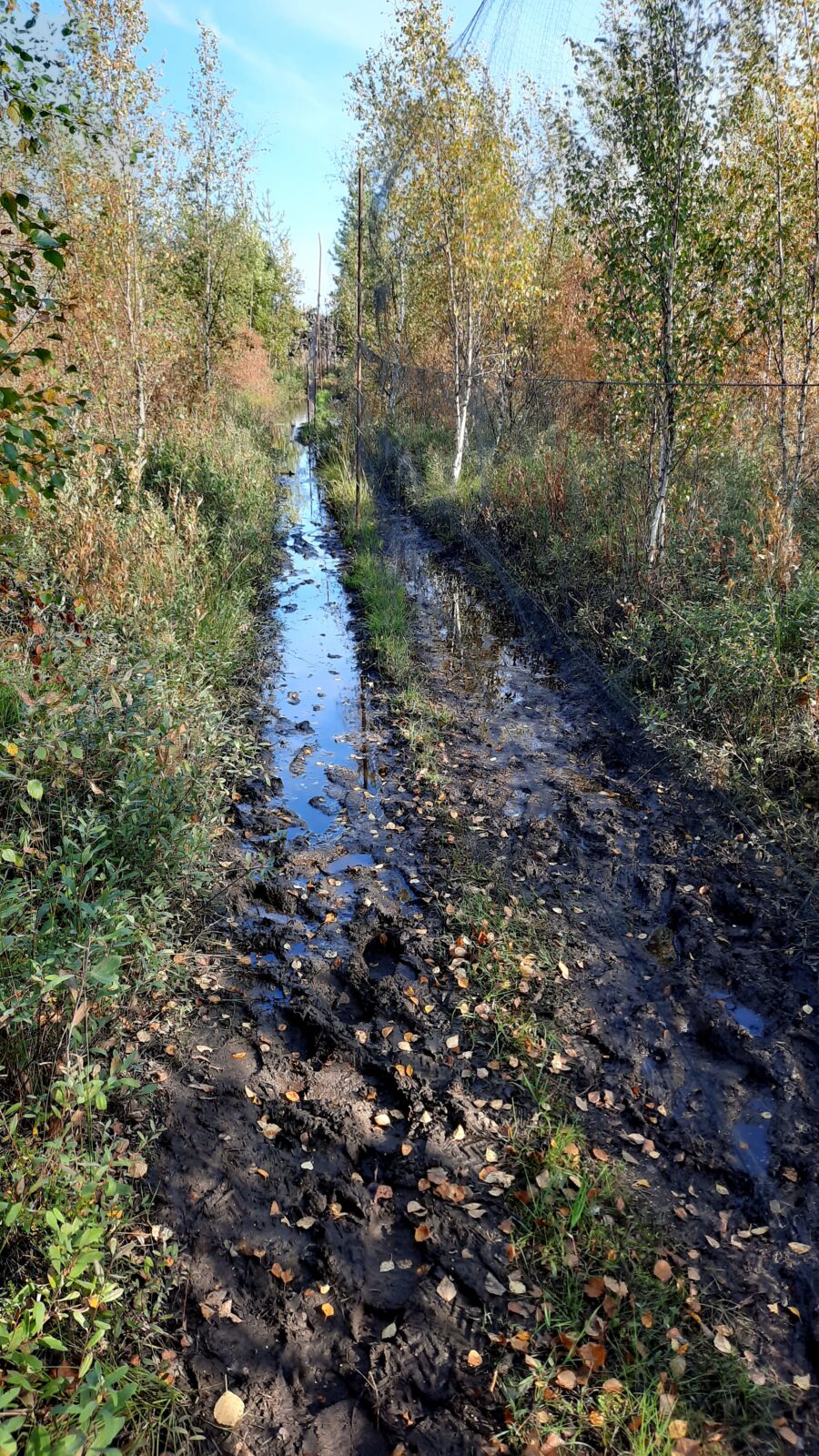 Syyskuu