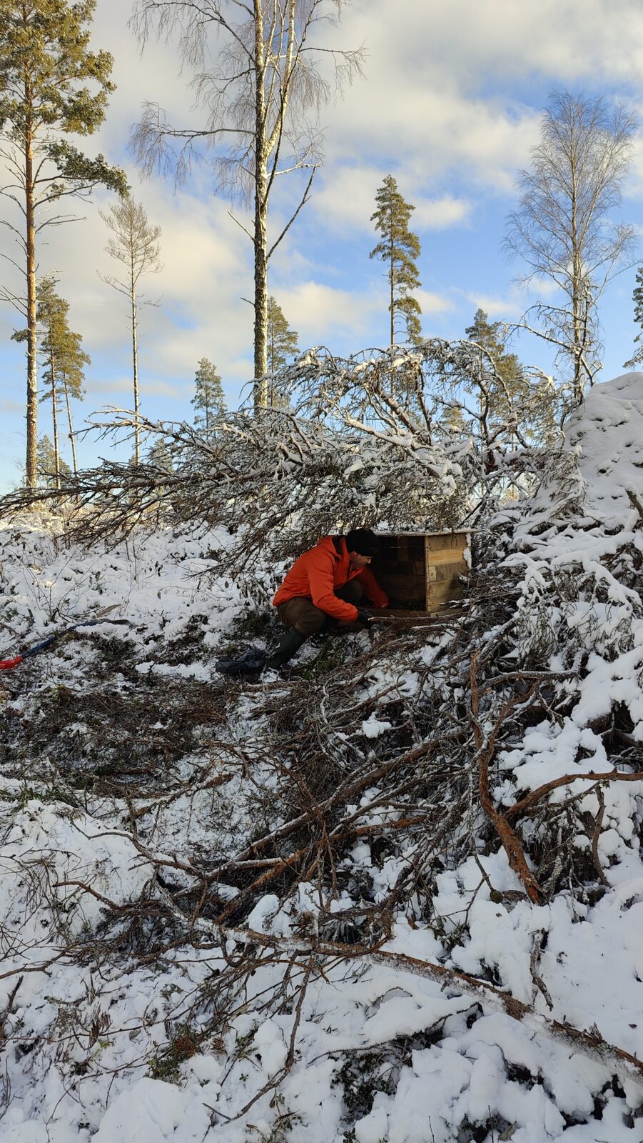 Marraskuu
