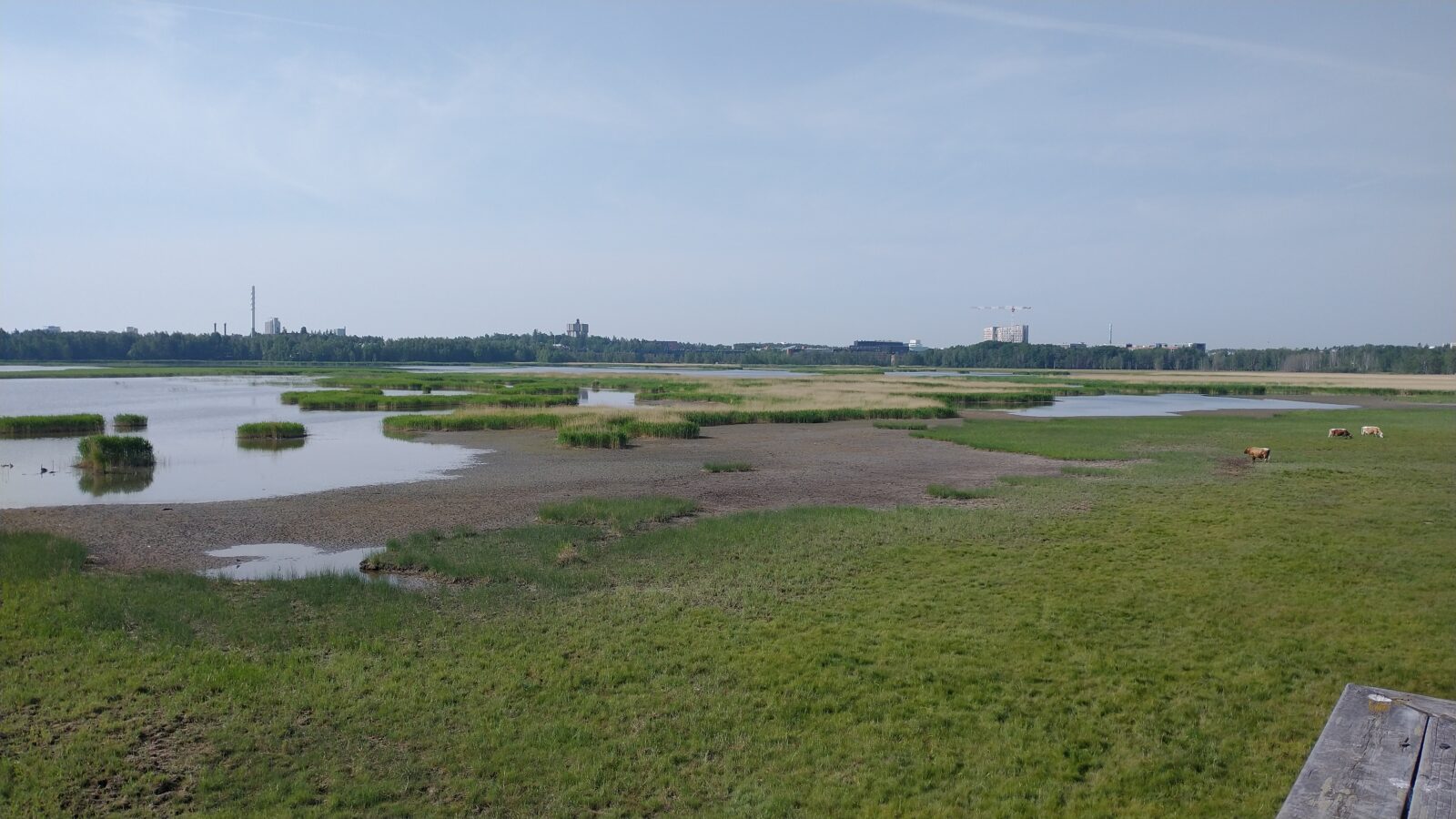Kesäkuu