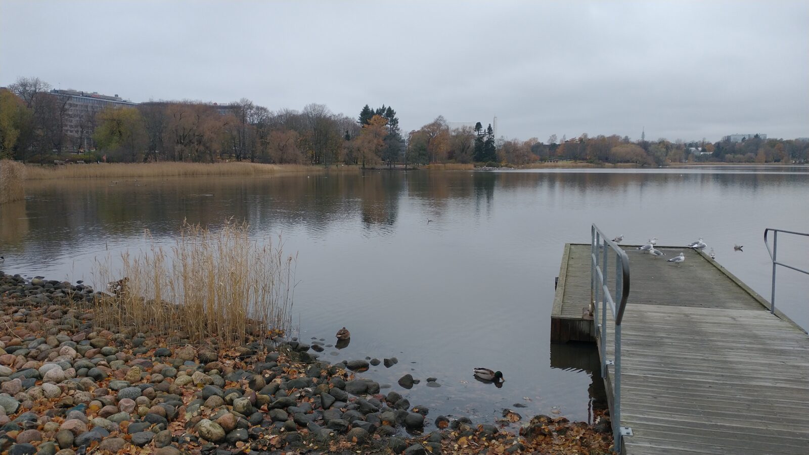 Marraskuu