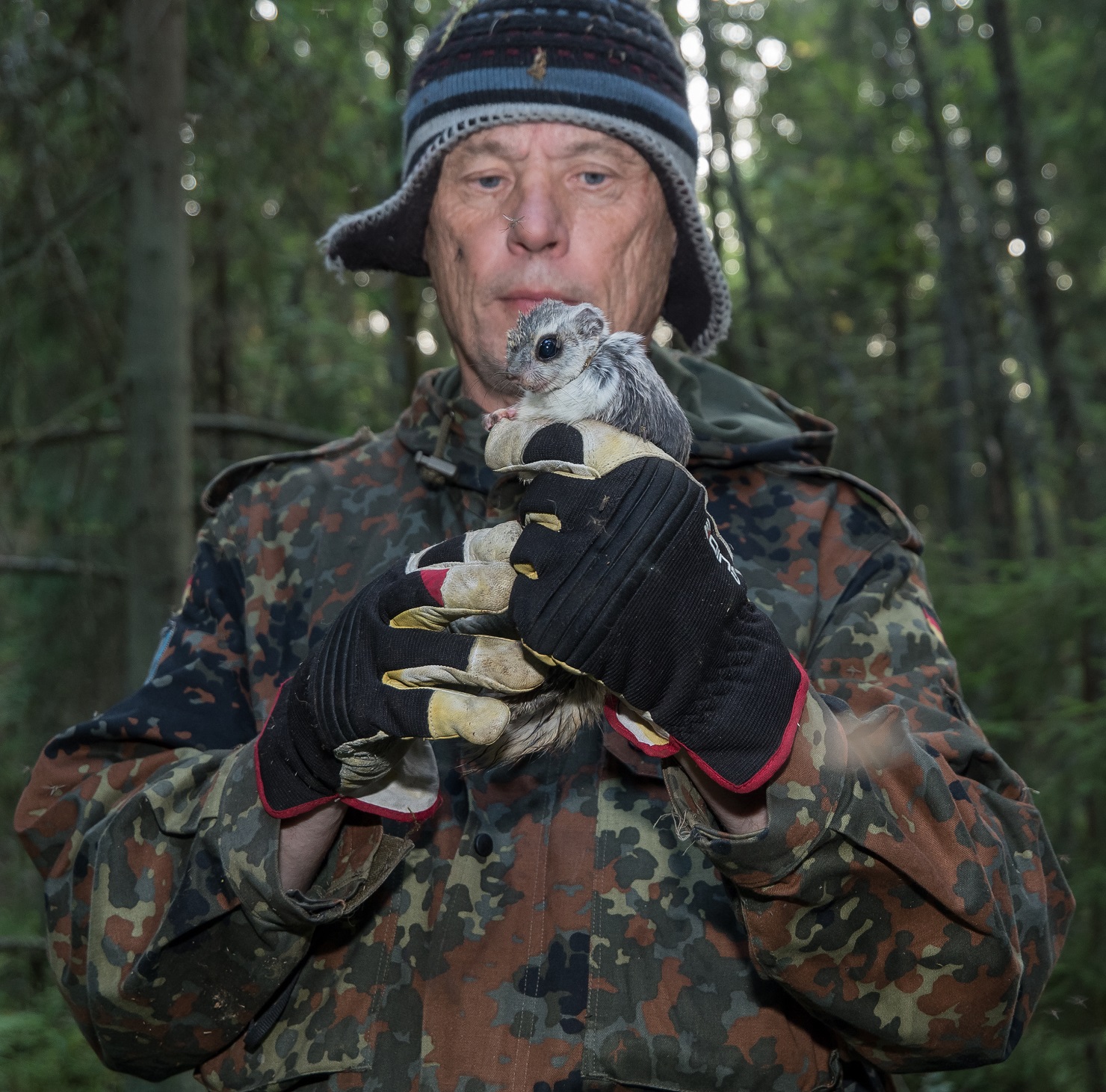 Ralf Wistbacka liito-orava kädessään. Kuva: Niclas Fritzén
