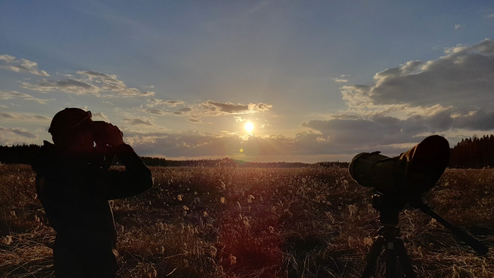 Kuva: Veikka Kosonen