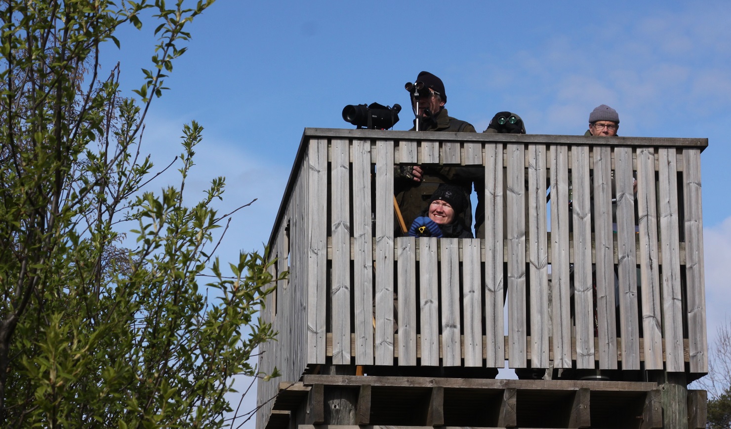Tornien taisto. Kuva: Jan Södersved