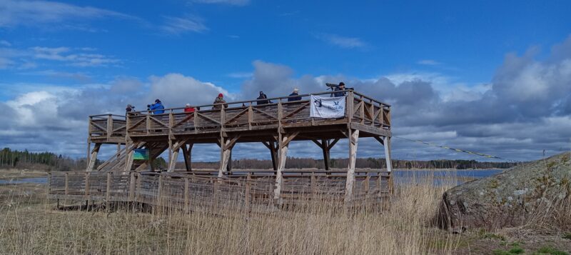 Tornien taisto 2025 Virolahden Vilkkilänturalla. Kuva: Eetu Paljakka