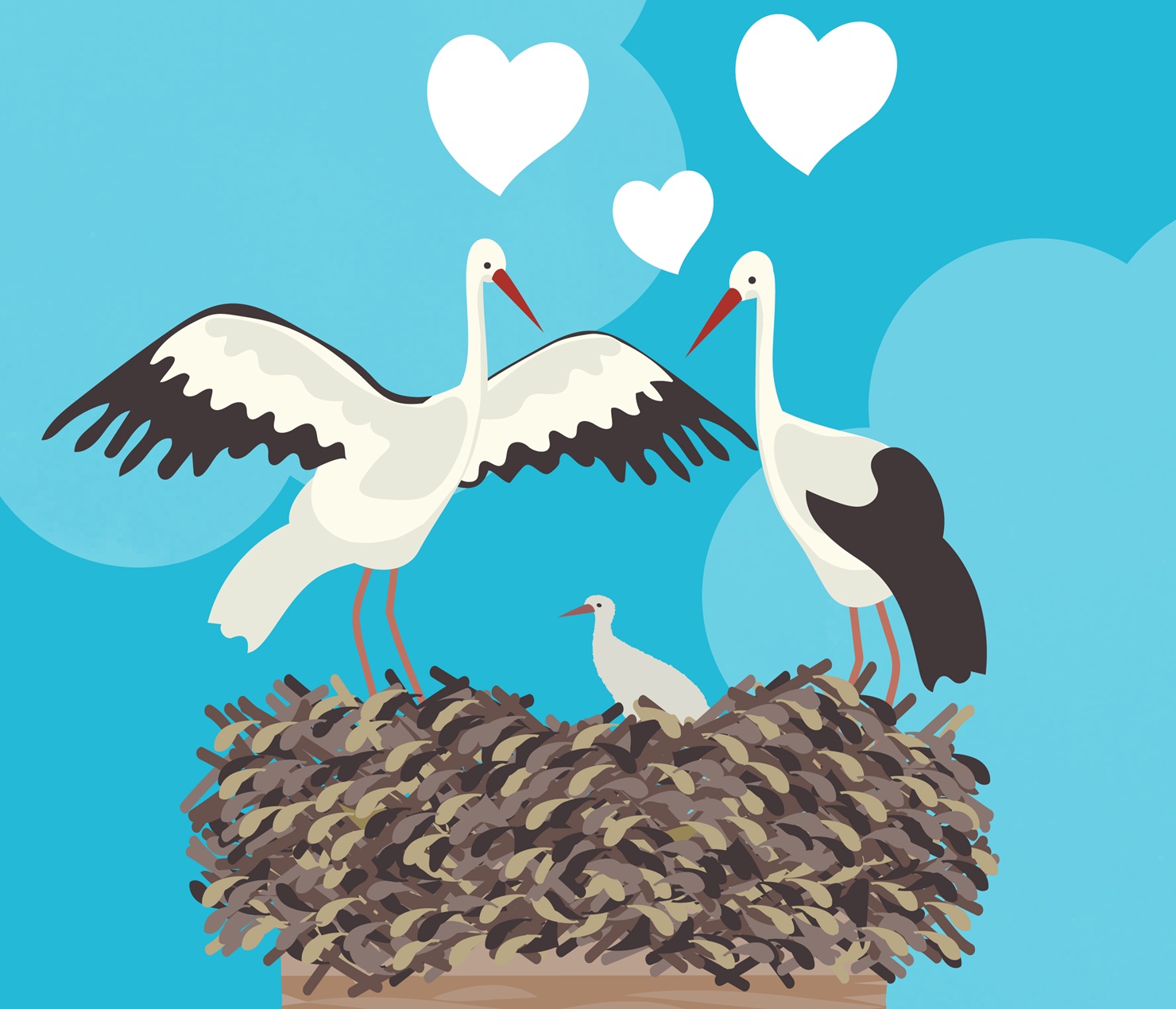 Kattohaikarapari ja poikanen. Kuva: LSJH