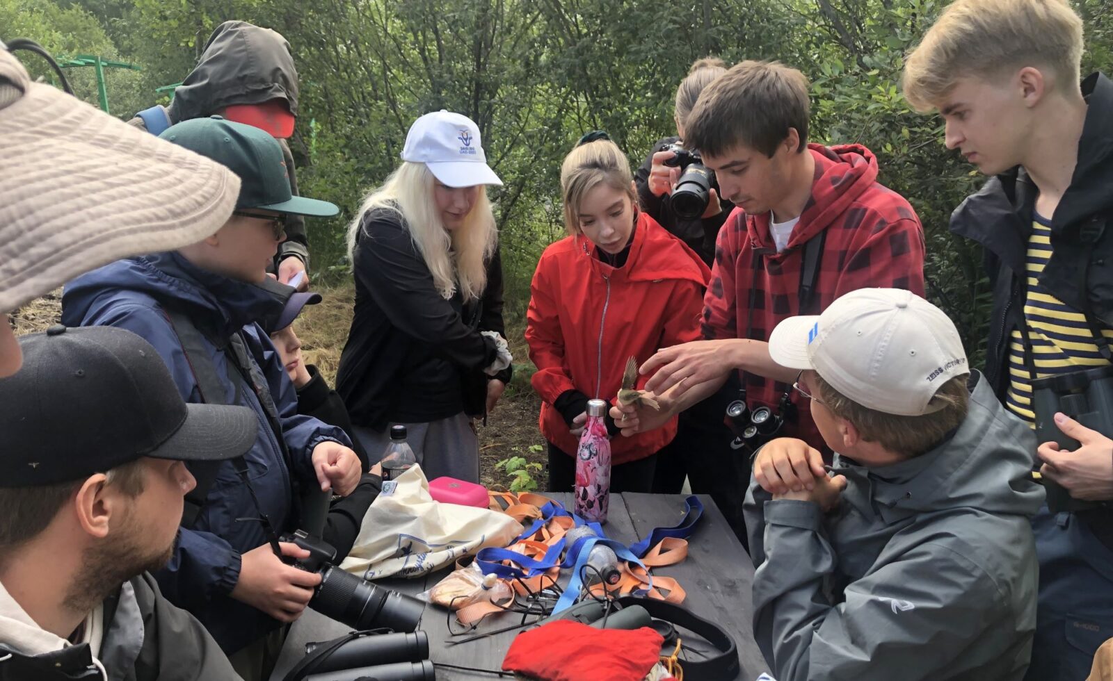 Nuorten lintuharrastajien kesäpäivät 2023, rengastusdemo. Kuva: Meri Öhman