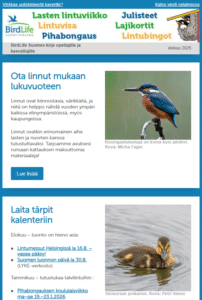 Opettajien uutiskirjeen alkuosa.