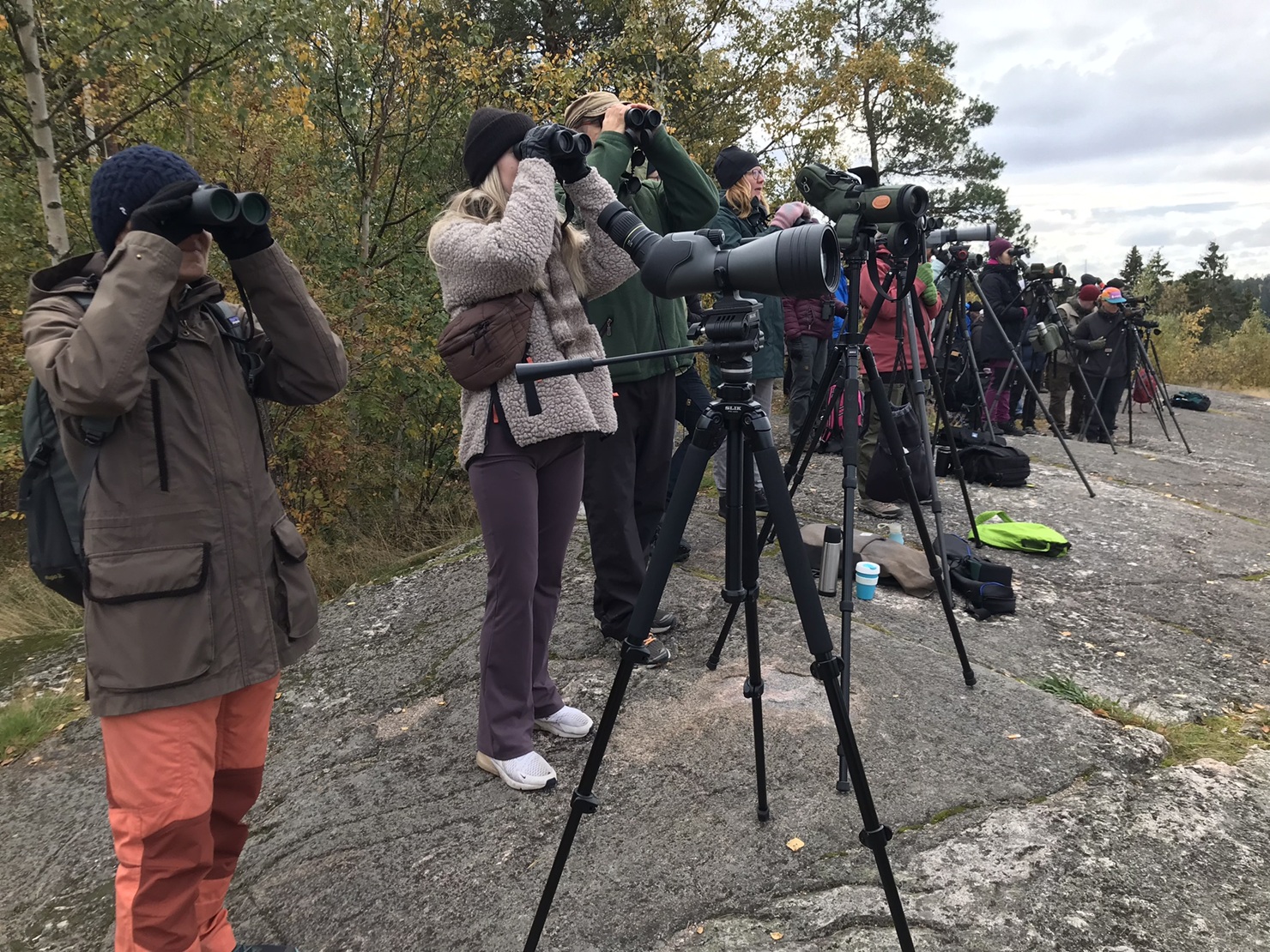 Lintuharrastajat seuraavat muuttoa Helsingissä EuroBirdwatch-tapahtumassa 2025. Kuva: Jaana Sarvala