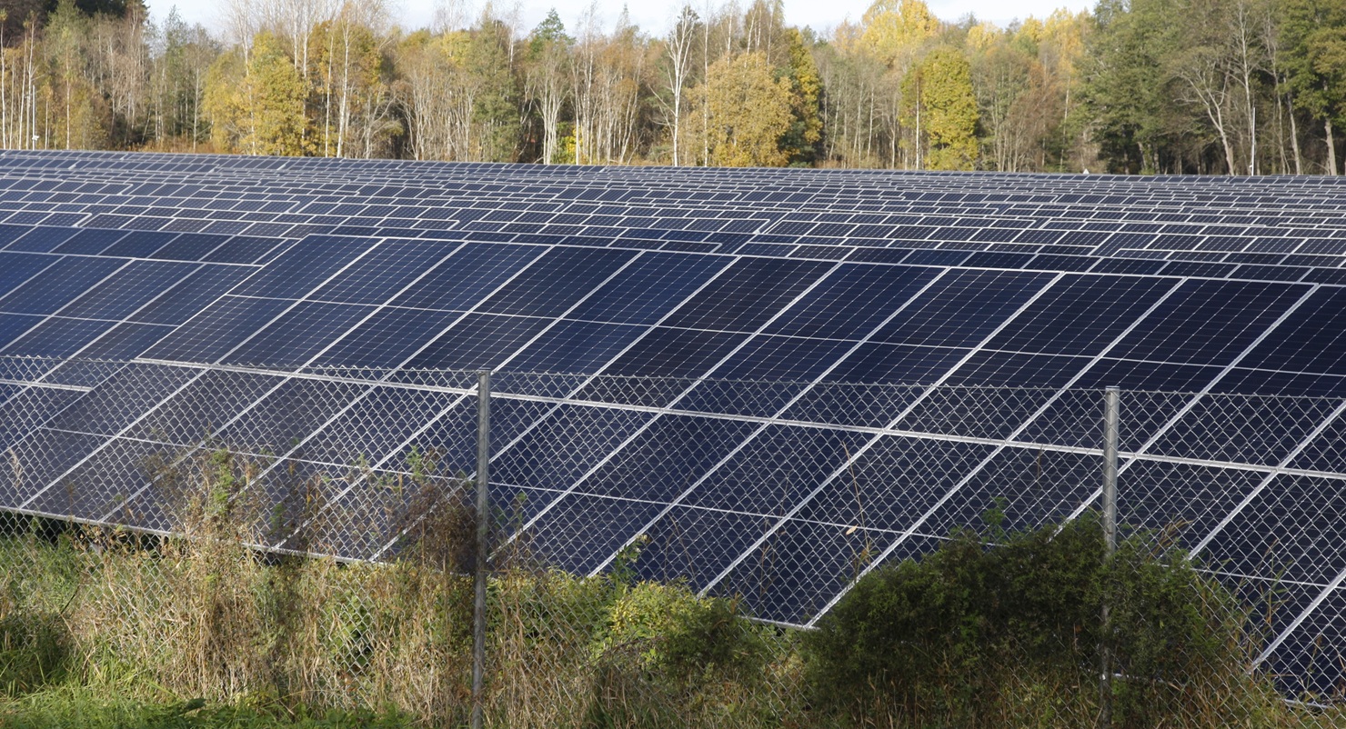 Aurinkopaneelikenttä on useimmille lintulajeille sopimaton elinympäristö. Kuva: Jan Södersved.