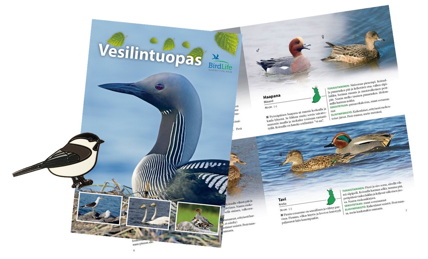 Tukijapaketti - vesilintuopas ja hömötiaispinssi