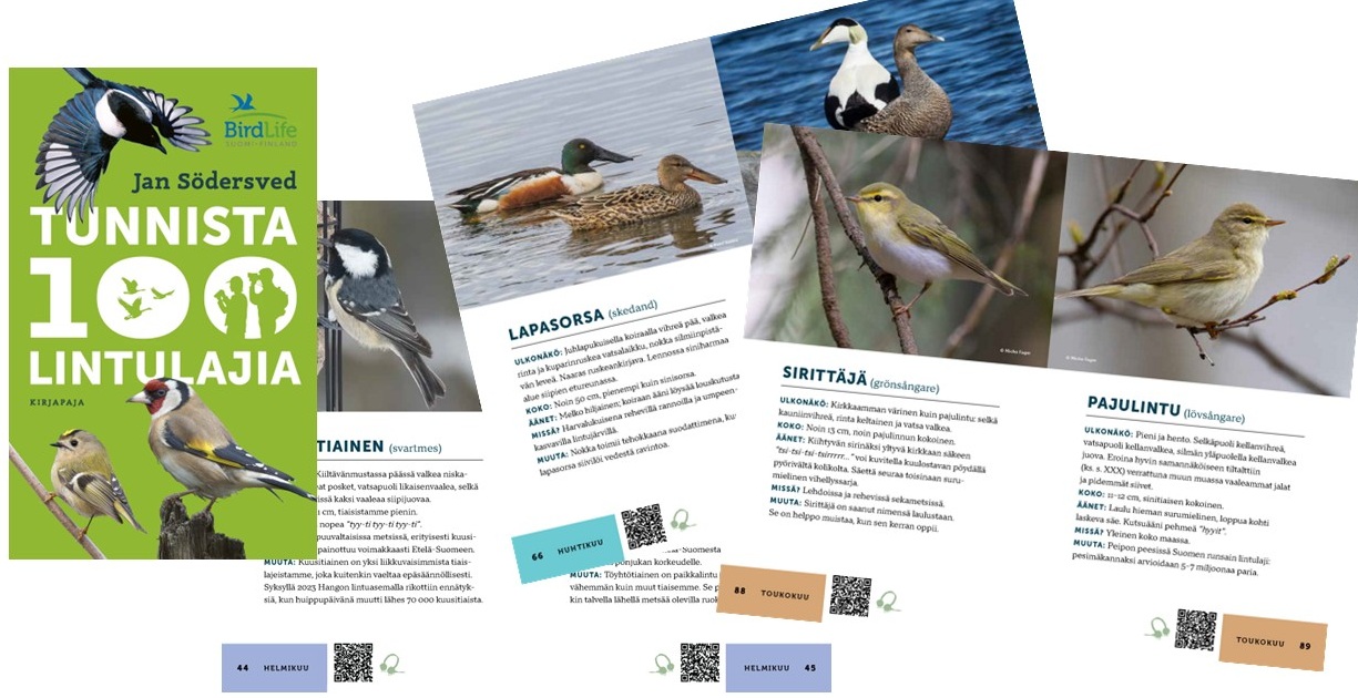 Tunnista 100 lintulajia -kirjan kansi ja malliaukeamia