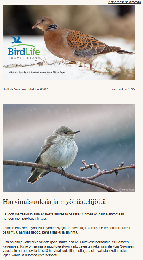 Marraskuun 2025 uutiskirjeen kansi.